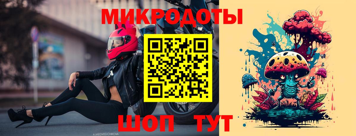 Галлюциногенные грибы Psilocybe  Псилоцибиновые грибы ЛСД  где купить наркоту  Элиста  Вход с VPN 