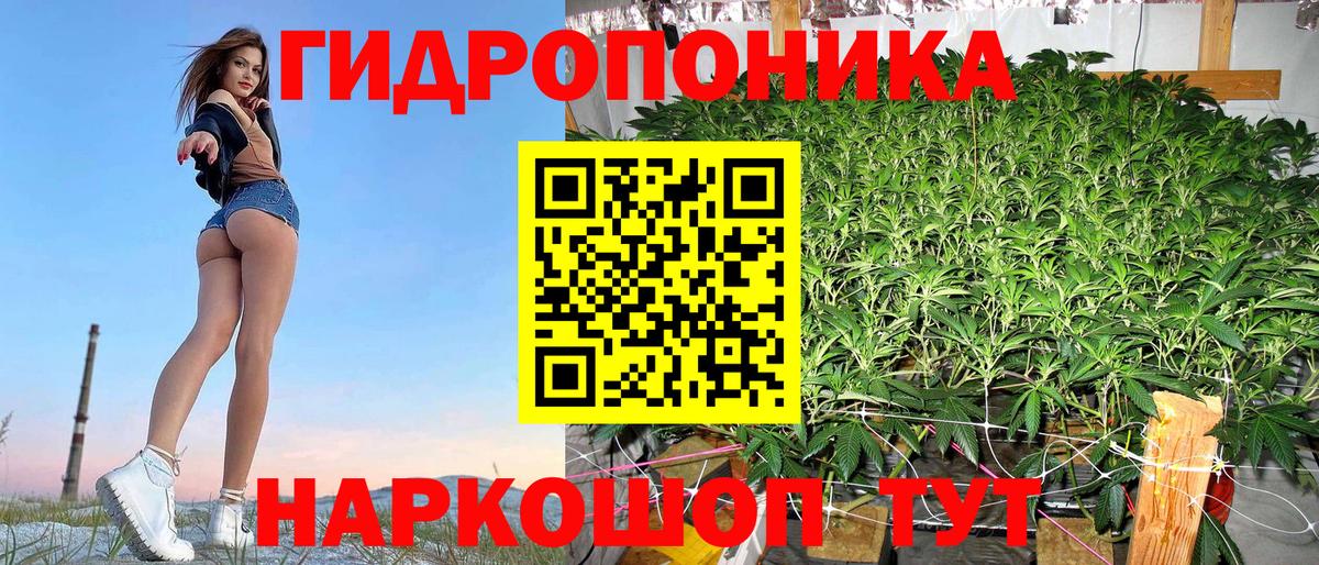 Конопля LSD WEED Элиста